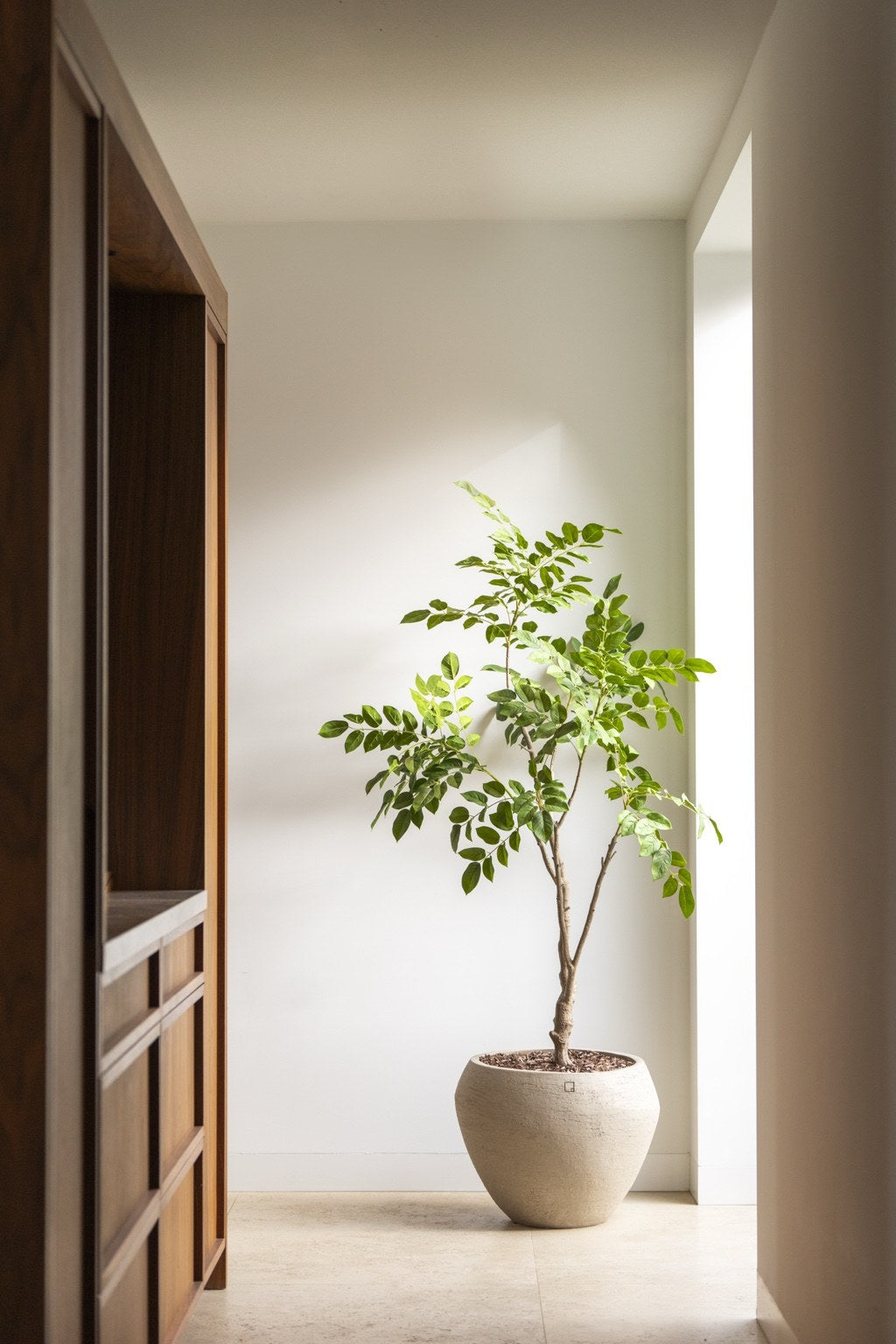 Sandalwood boom 180 cm