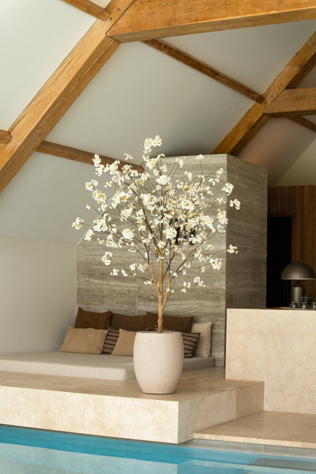 Bloesem boom 180 en 220 cm